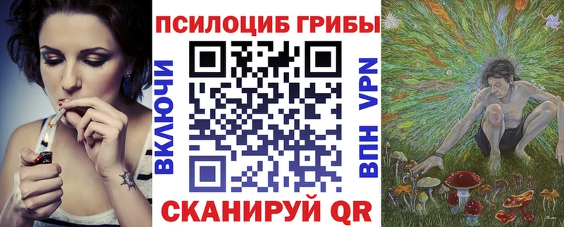 Псилоцибиновые грибы Cubensis  Купить где  Нефтеюганск 